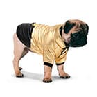 Куртки, ветровки, пальто