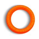 Воспитание и дрессировка собак