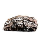 Декор для террариума