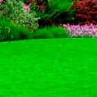 Искусственные насаждения