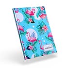 Колледж-тетради в твердой обложке