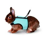 Шлейки и поводки для грызунов