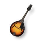 Мандолины и аксессуары