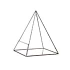 Флорариумы и террариумы