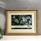 Багетные фоторамки