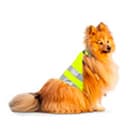 Сигнальная одежда