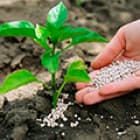 Сухие удобрения, стимуляторы, подкормки