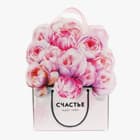 Пакеты-открытки