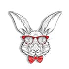 Декоративные элементы для одежды