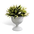 Вазоны и вазы