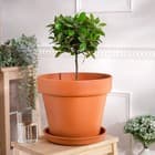 Кашпо из глины