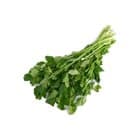 Зелень свежая