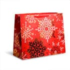 Ламинированные пакеты