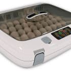 Инкубаторы