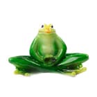 Жучки, черепашки, лягушки и морские жители