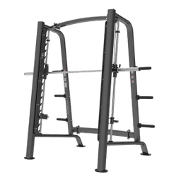 Машина Смита BRONZE GYM PL-1721