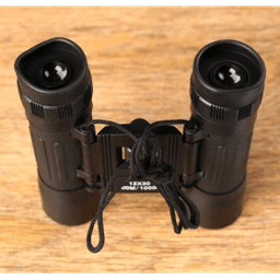 Бинокль «Разведка», 12×30, с чехлом, чёрный