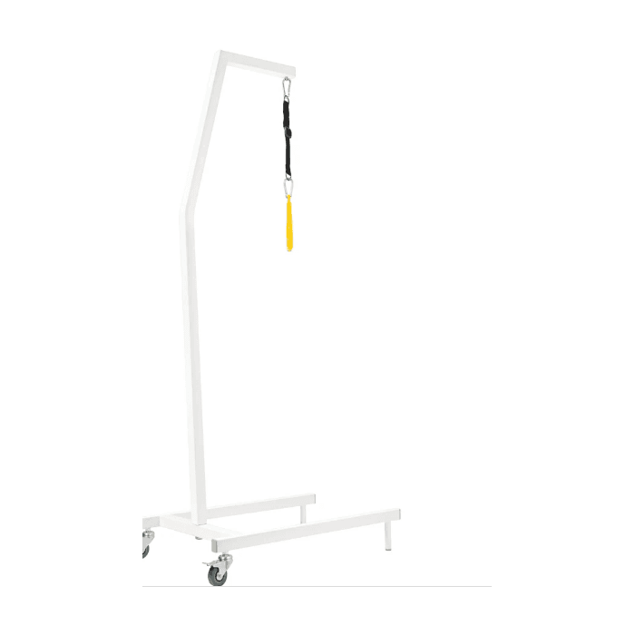 Опора для подтягивания Ortonica G100