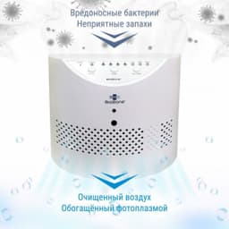 Воздухоочиститель BioZone PR 20
