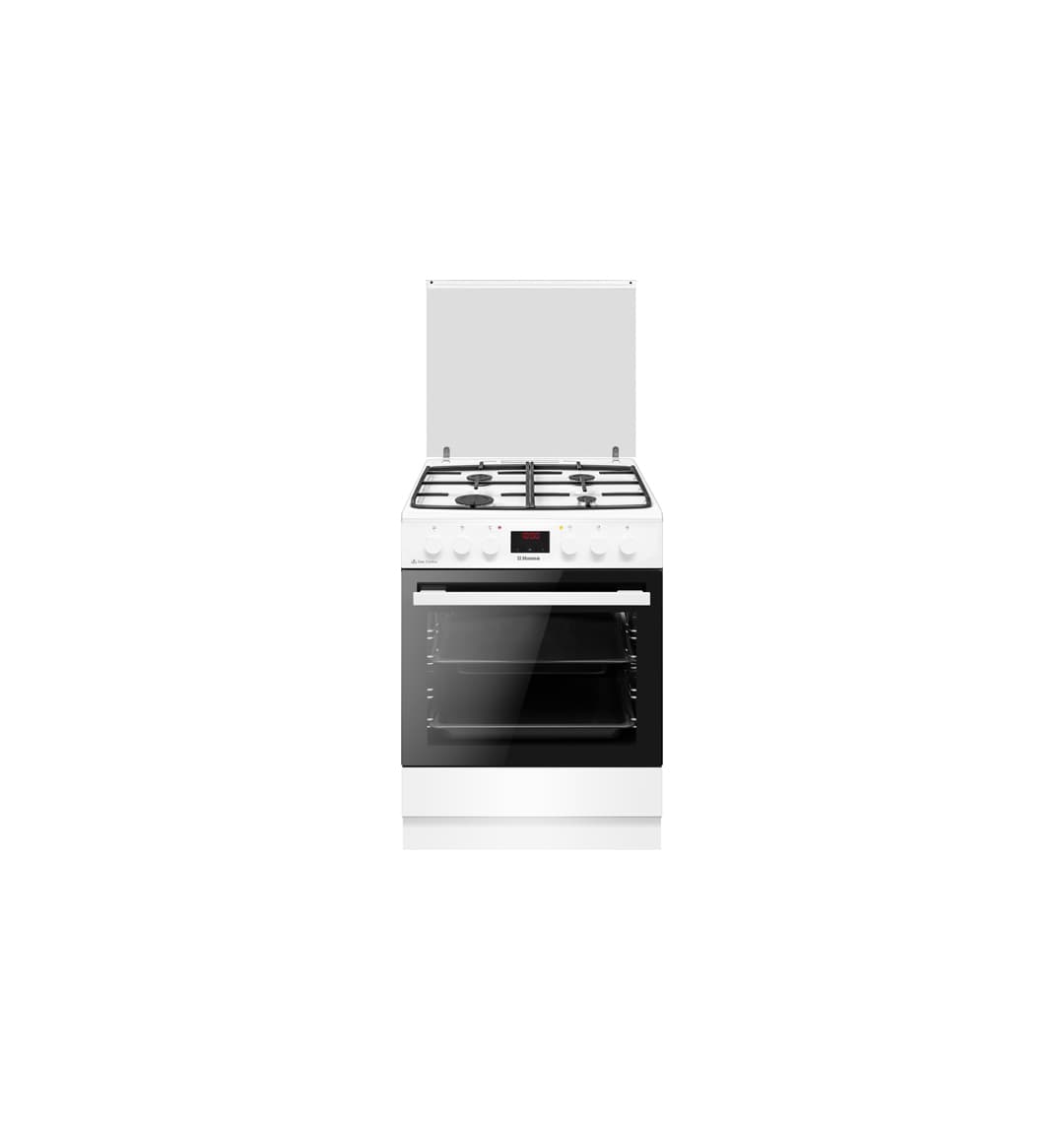 Газоэлектрическая плита Hansa FCMM682233