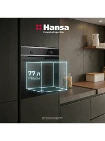 Встраиваемый духовой шкаф Hansa BOEBS696677