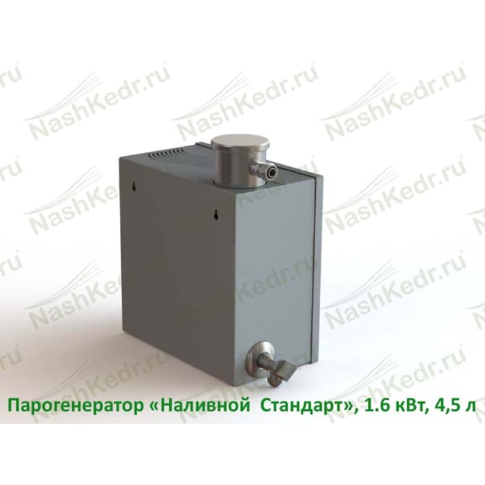 Парогенератор наливной «Стандарт(Старт)», 1.6 кВт, 4,5 л, для домашнего использования