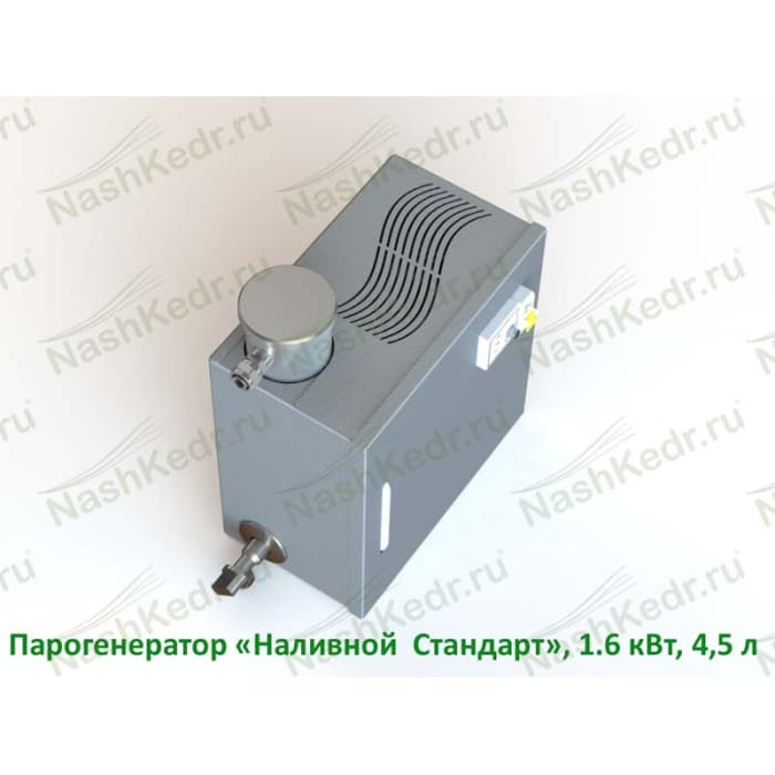 Парогенератор наливной «Стандарт(Старт)», 1.6 кВт, 4,5 л, для домашнего использования
