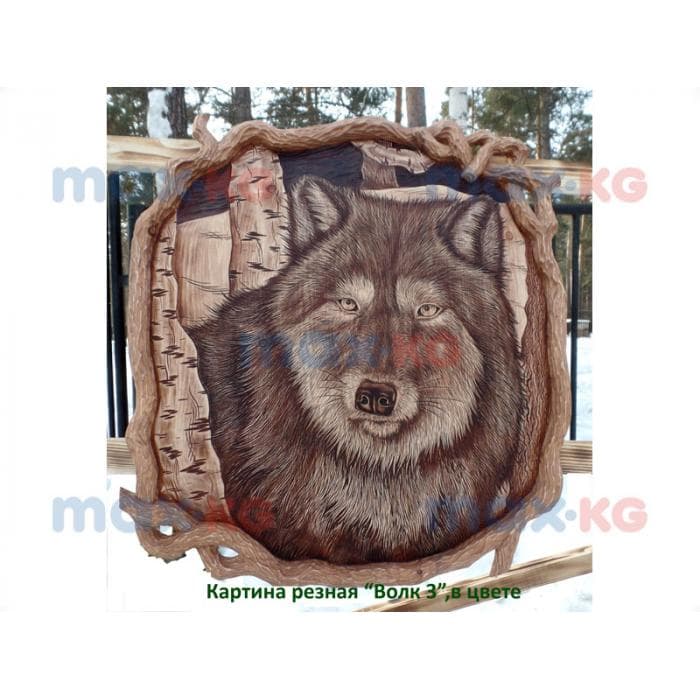 Картина резная, Волк 3 квадрат, в цвете ( 60*60 см)