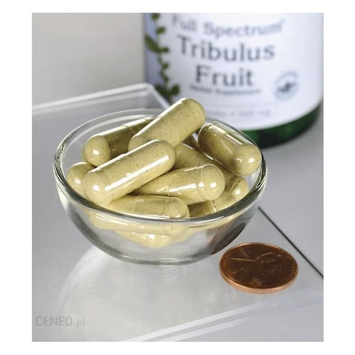 Бустер тестостерона Swanson Full-Spec Tribulus Fruit 500 mg 90 капсул