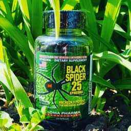 Жиросжигатель Cloma Pharma Black Spider 25 100 капсул