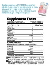 Аминокислоты Life Amino bcaa 396g много вкусов