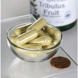 Бустер тестостерона Swanson Full-Spec Tribulus Fruit 500 mg 90 капсул