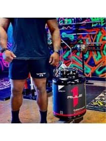 Гейнер Rule ONE Clean Gainer 9.85 фунтов много вкусов