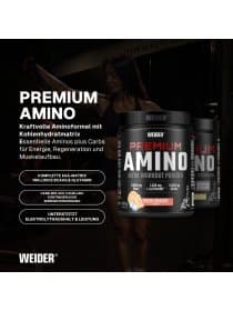 Аминокислоты WEIDER Premium Amino 800 гр