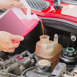 Антифриз MANNOL AF12+ (концентрат красный) 10л