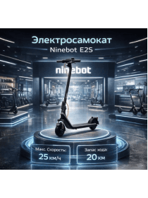 Электросамокат Ninebot E2S