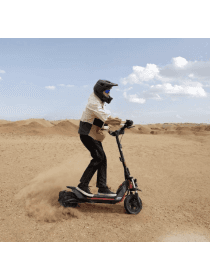 Электросамокат Ninebot ZT3 Pro