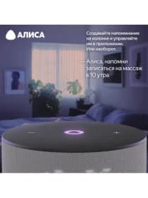 Умная колонка Яндекс Станция Мини 3 (с часами) (Серый)
