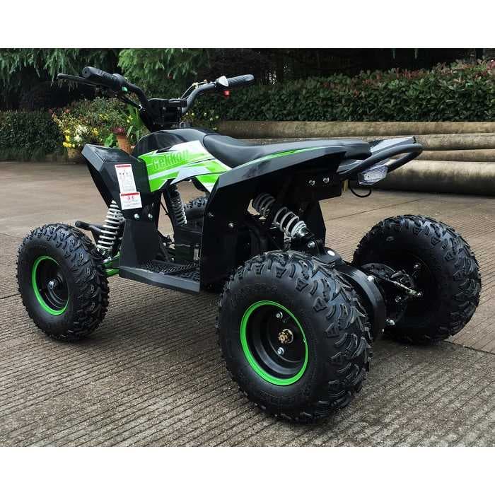 Детский электро квадроцикл MOTAX GEKKON 1300W