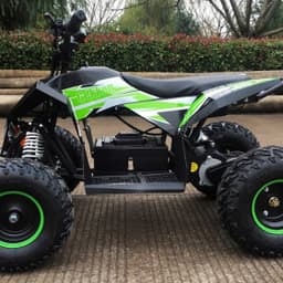 Детский электро квадроцикл MOTAX GEKKON 1300W