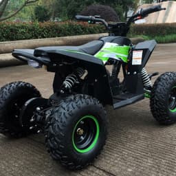 Детский электро квадроцикл MOTAX GEKKON 1300W