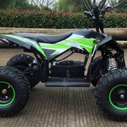 Детский электро квадроцикл MOTAX GEKKON 1300W