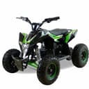 Детский электро квадроцикл MOTAX GEKKON 1300W