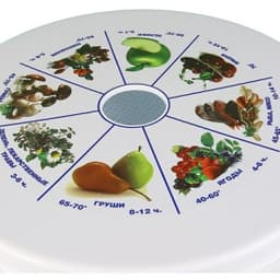 Электросушилка "Дива" СШ-007, 5 лотков