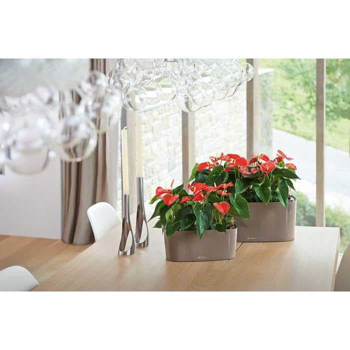 Кашпо Lechuza Дельта 40 Антрацит с системой полива