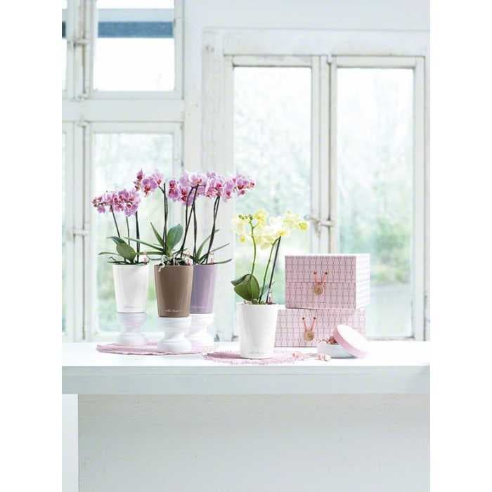 Кашпо Lechuza Мини-Дельтини Светло-Зеленый с системой полива