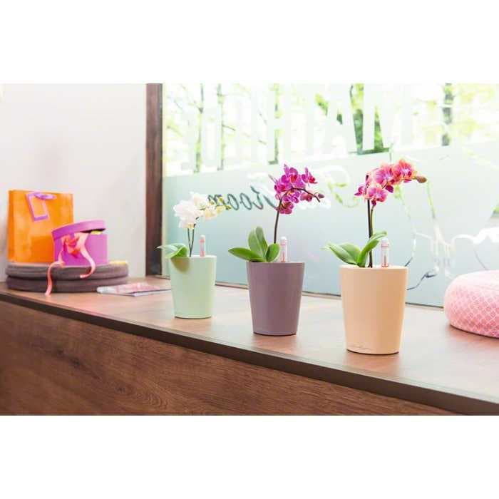 Кашпо Lechuza Мини-Дельтини Светло-Зеленый с системой полива