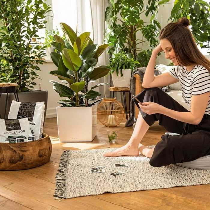 Субстрат Lechuza PON 3 L