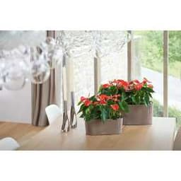 Кашпо Lechuza Дельта 40 Антрацит с системой полива