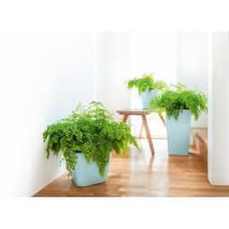 Кашпо Lechuza Квадро 21 LS Белое с системой полива и съемным горшком